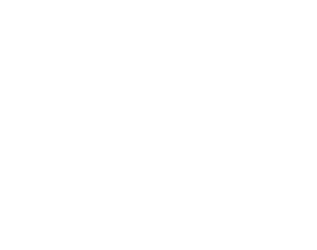 First Security Technology